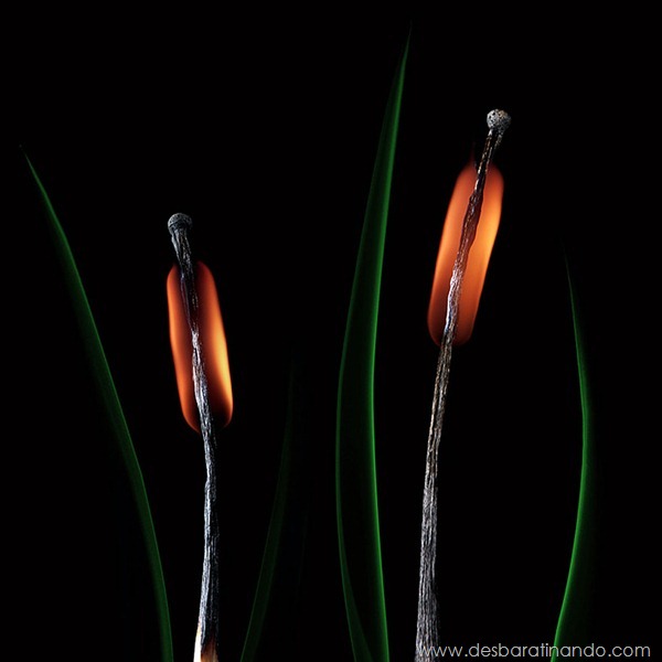 matchstick-art-stanislav-aristov-fosforos-fogo-arte-desbaratinando (10) matchstick-art-stanislav-aristov-fosforos-fogo-arte-desbaratinando (10)