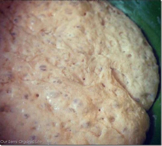 bread dough bread dough
