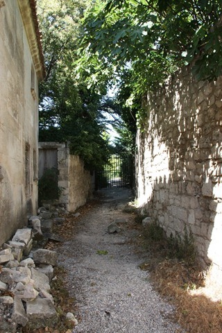 tuinpad tuinpad