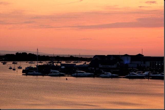 estuary 008