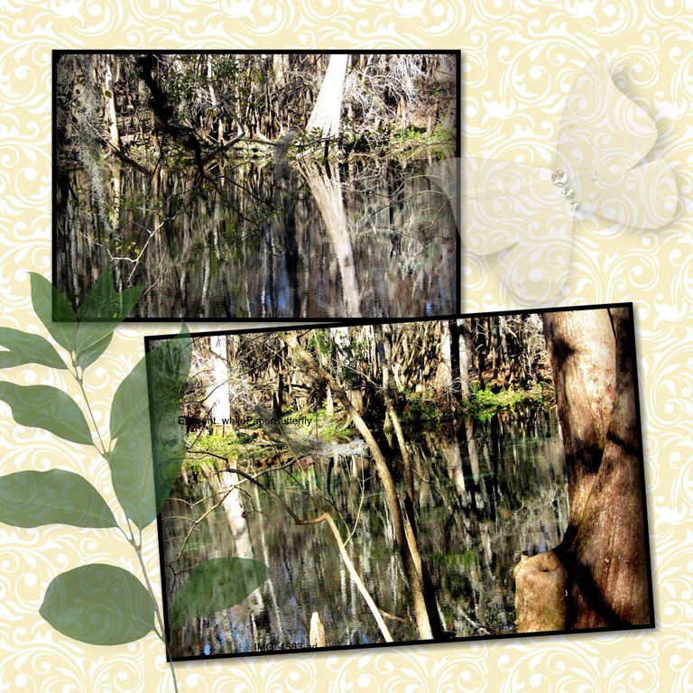 [Manatee-Springs-SP-FL-0053.jpg]