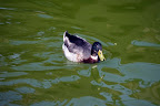 p1245210777(3).jpg