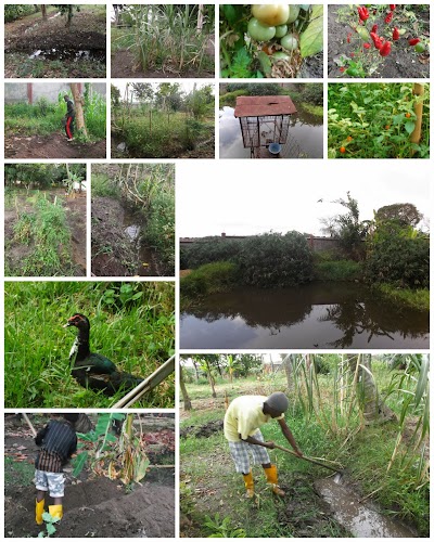 Farm1.jpg
