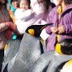 hokkaido_336.jpg