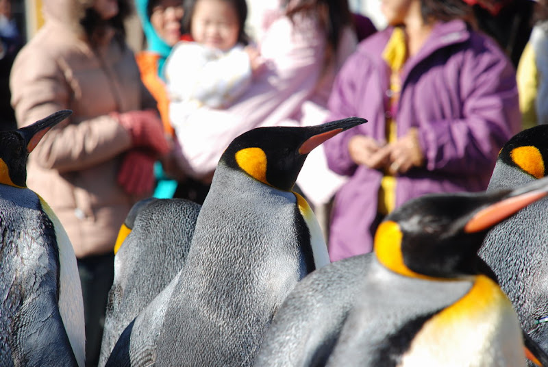 hokkaido_336.jpg