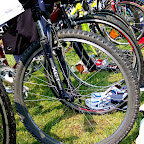 Citytriathlon Amberg 2009 (M. Ladka)