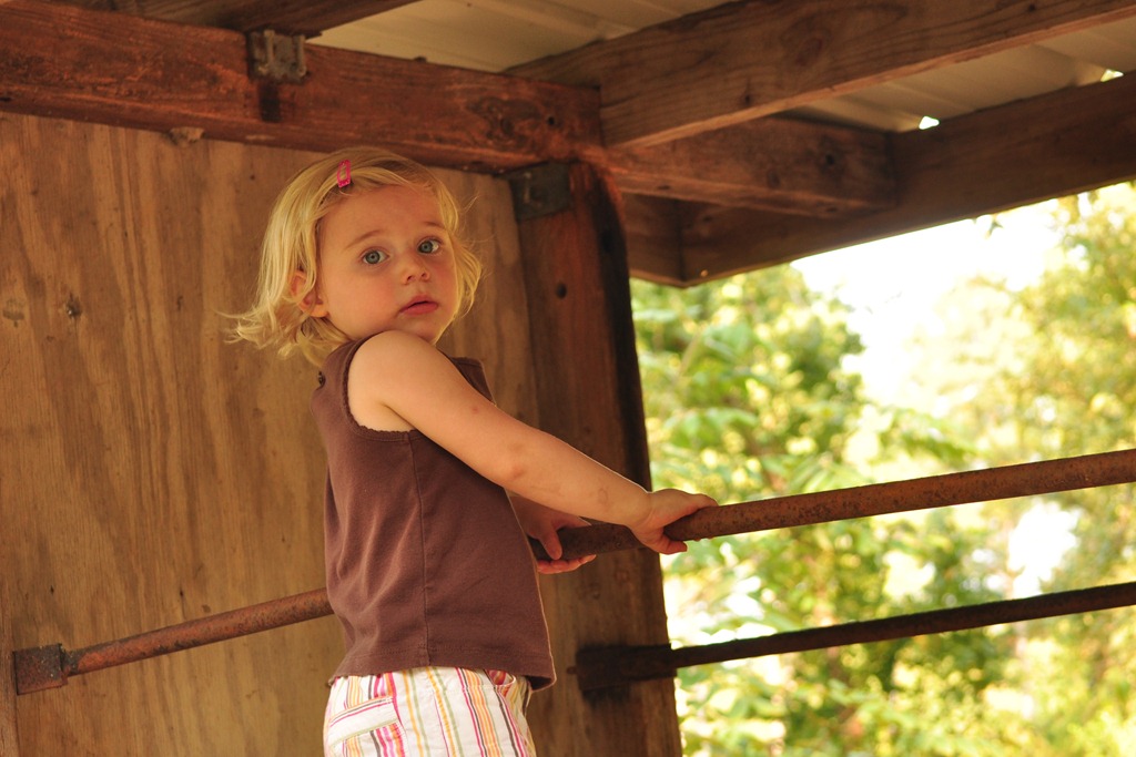 [DSC_7960%255B5%255D.jpg]