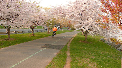 Cherry Walk is specifically between 100th and 125th Streets and is part of Riverside Park that was added in the 1930s by filling in the river to create space to build the West Side Highway. Here's the rest of the story; http://www.nycgovparks.org/sub_your_park/historical_signs/hs_historical_sign.php?id=9748