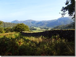 DSCF5726 DSCF5726