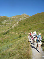 On the trail