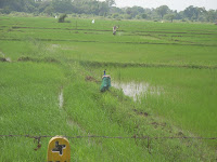 DSCN0060.JPG