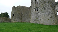 P1020195.JPG Photo