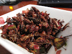 Chef Julian Medina of NYC's Toloache restaurant cooks them in a spicy seasoning mix that includes lemon and pickled jalapeños.