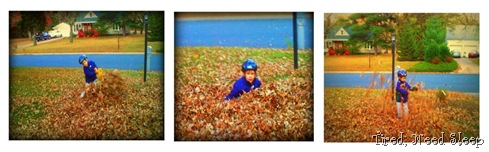 Playing in the leaves!