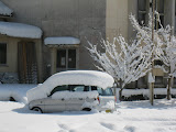 IMG_0638.JPG