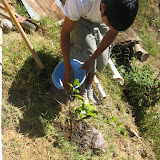 IMG_4040.JPG