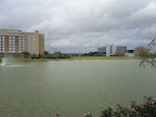 IMG_20120122_120918.jpg