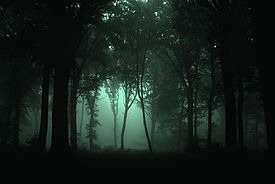 [275px-Gloomy_Forest%255B3%255D.jpg]