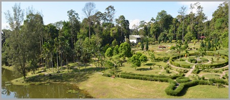 Breath taking view in Taman Pertanian