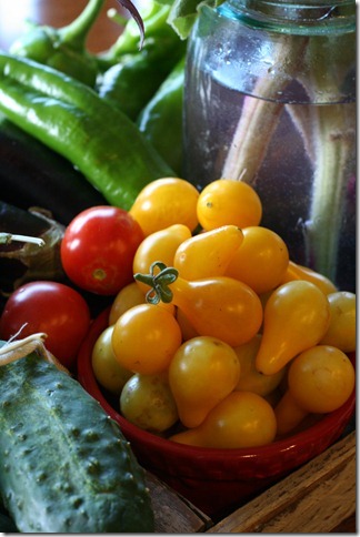 veggies 073 veggies 073