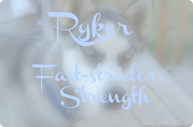 Ryker Ryker