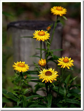 IMG_8841 IMG_8841