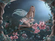 Fairy On The Rose