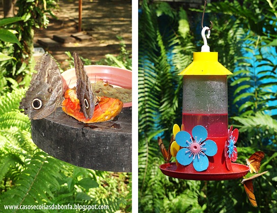 [DSC03583%255B5%255D.jpg]