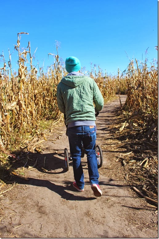 cornmaze