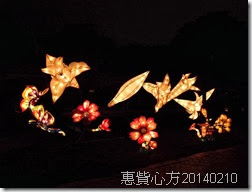 CIMG0644 CIMG0644