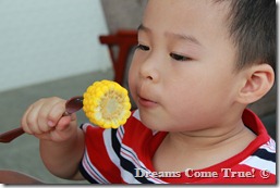 IMG_3176 IMG_3176
