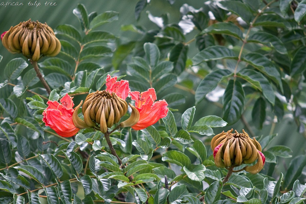 [20121213-IMG_273713.jpg]