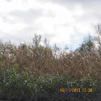 IMG_3164.JPG