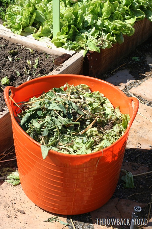 [fire%2520and%2520rain%2520014%255B5%255D.jpg]