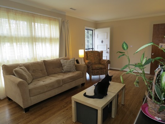 Livingroom and front window