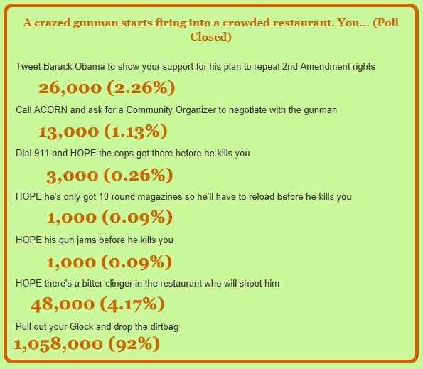 [gun%2520poll%2520results%2520copy%255B5%255D.jpg]
