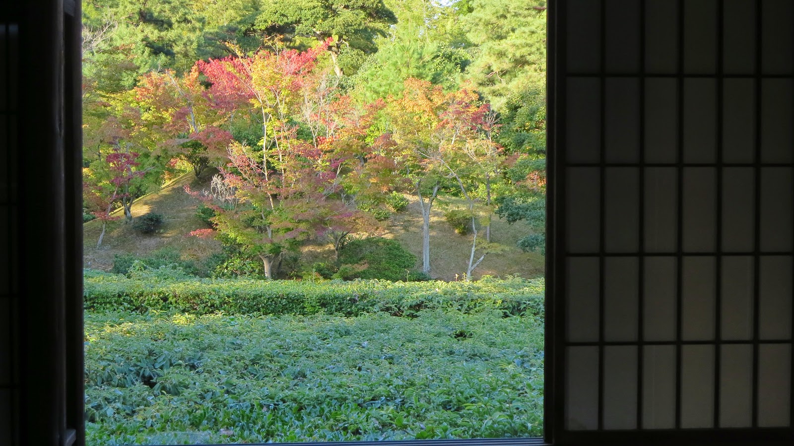 [IMG_1608%255B3%255D.jpg]