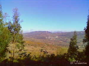 [26022012040%255B12%255D.jpg]