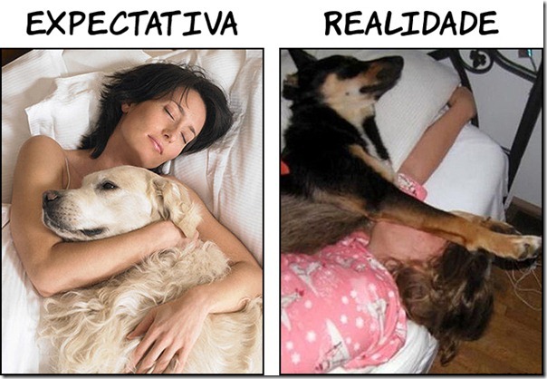 Dormindo com seu animalzinho