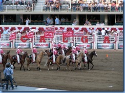 9533 Alberta Calgary Stampede 100th Anniversary - GMC Rangeland Derby & Grandstand Show - Calgary Stampede Showriders