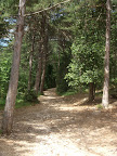 DSCN0884.JPG