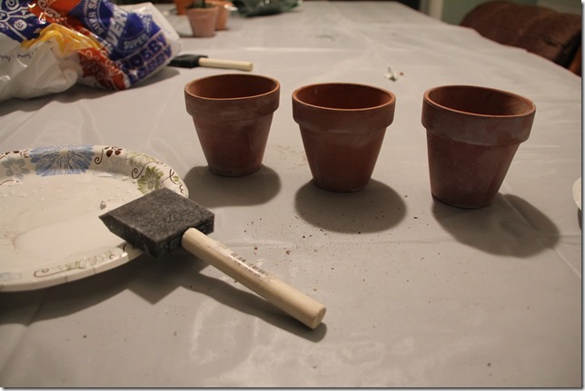 IMG_8255 IMG_8255