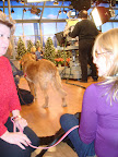 Martha interviews Dr. Kaplan about The Toby Project while Barbara and Charlene discuss if Kiara is a good fit for Barbara's home!