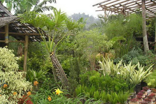 Taman Bunga Cihideung