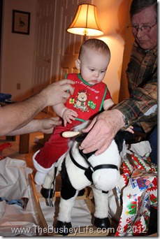 IMG_0640 IMG_0640