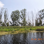 DSCN8234.JPG