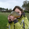 dsc02244.jpg