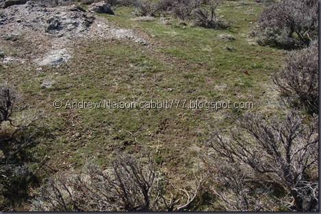 DSC_0004 DSC_0004