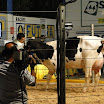 superleite2011_dia1507_218.JPG