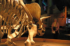 Mom facing down a triceratops